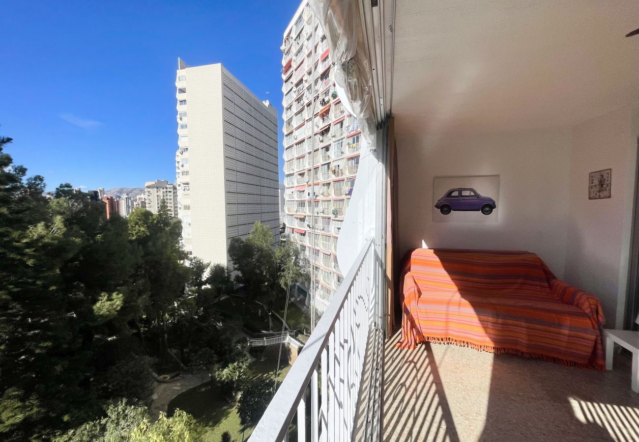 Apartment in Benidorm - APARTMENT GARDEN LOIX R144