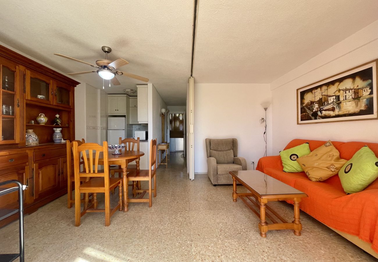 Apartment in Benidorm - APARTMENT GARDEN LOIX R144