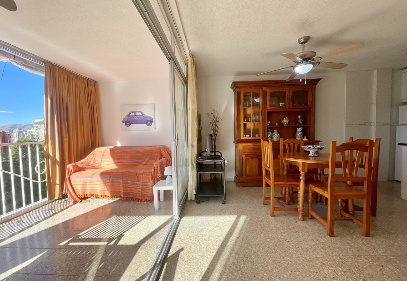 Apartment in Benidorm - APARTMENT GARDEN LOIX R144