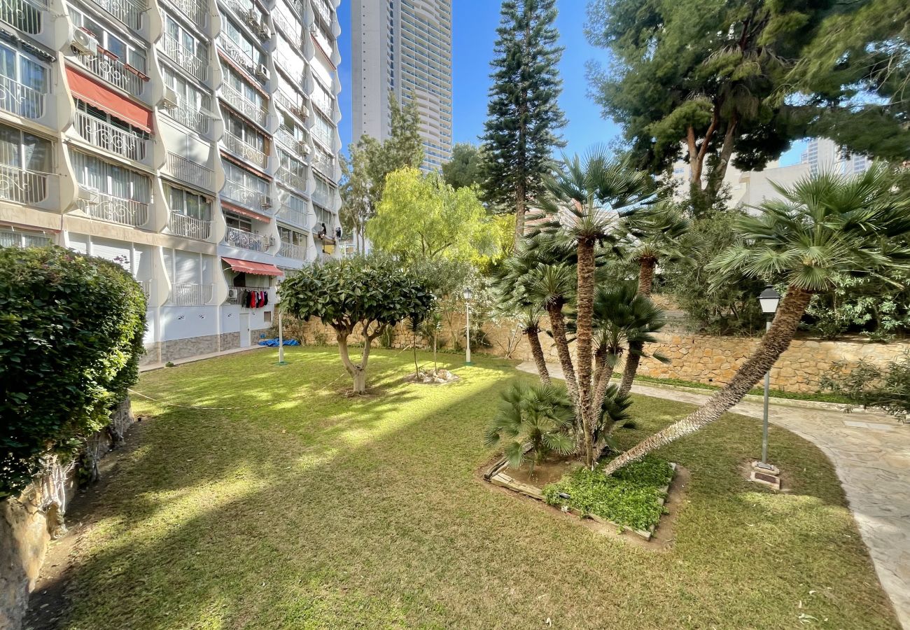 Apartment in Benidorm - APARTMENT GARDEN LOIX R144