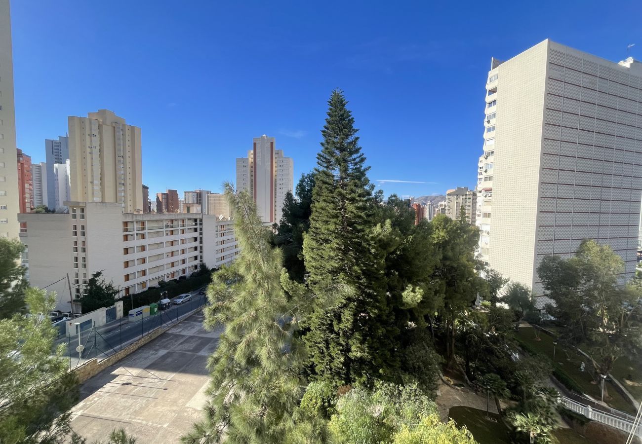 Apartment in Benidorm - APARTMENT GARDEN LOIX R144