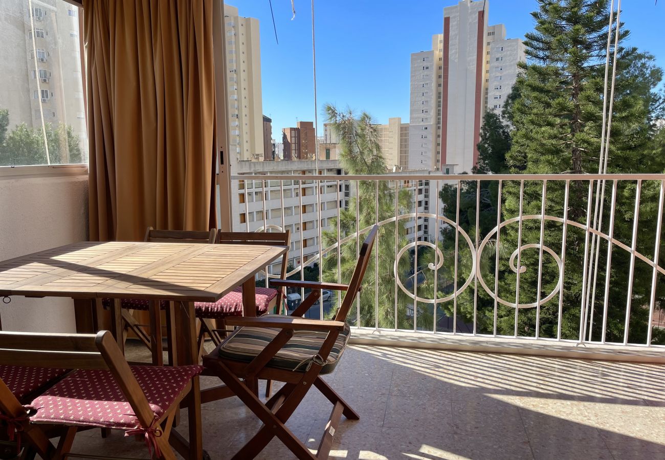 Apartment in Benidorm - APARTMENT GARDEN LOIX R144