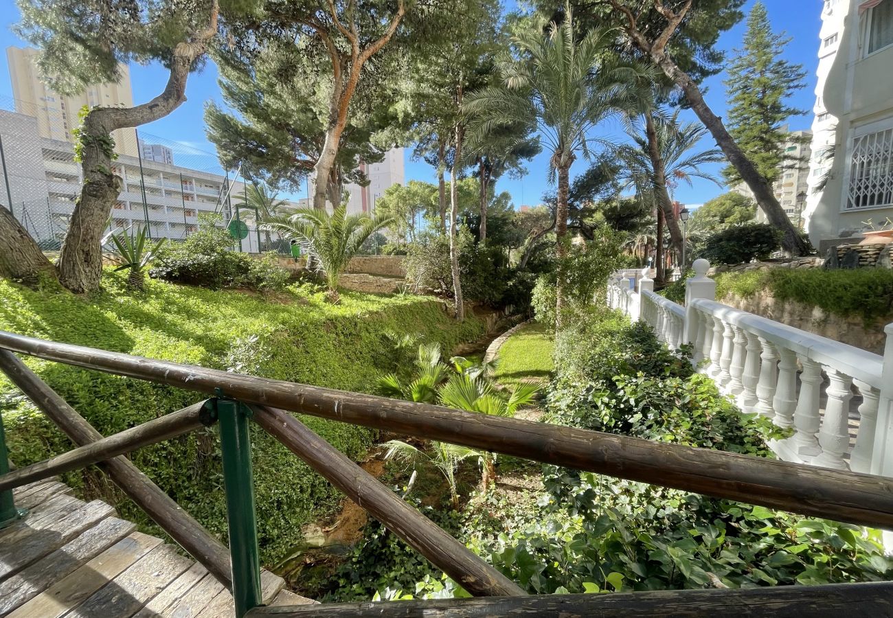 Apartment in Benidorm - APARTMENT GARDEN LOIX R144