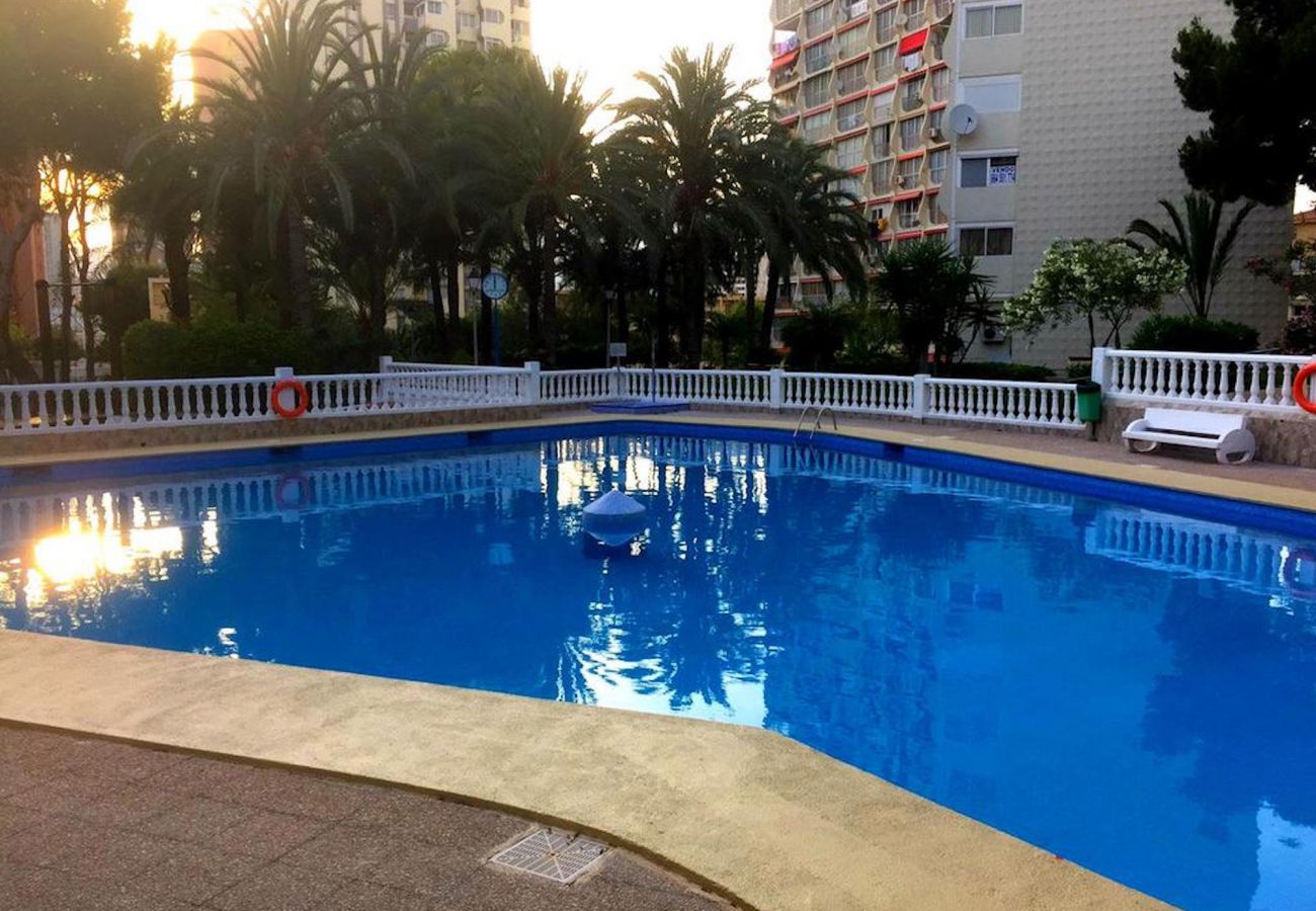 Apartment in Benidorm - APARTMENT GARDEN LOIX R144