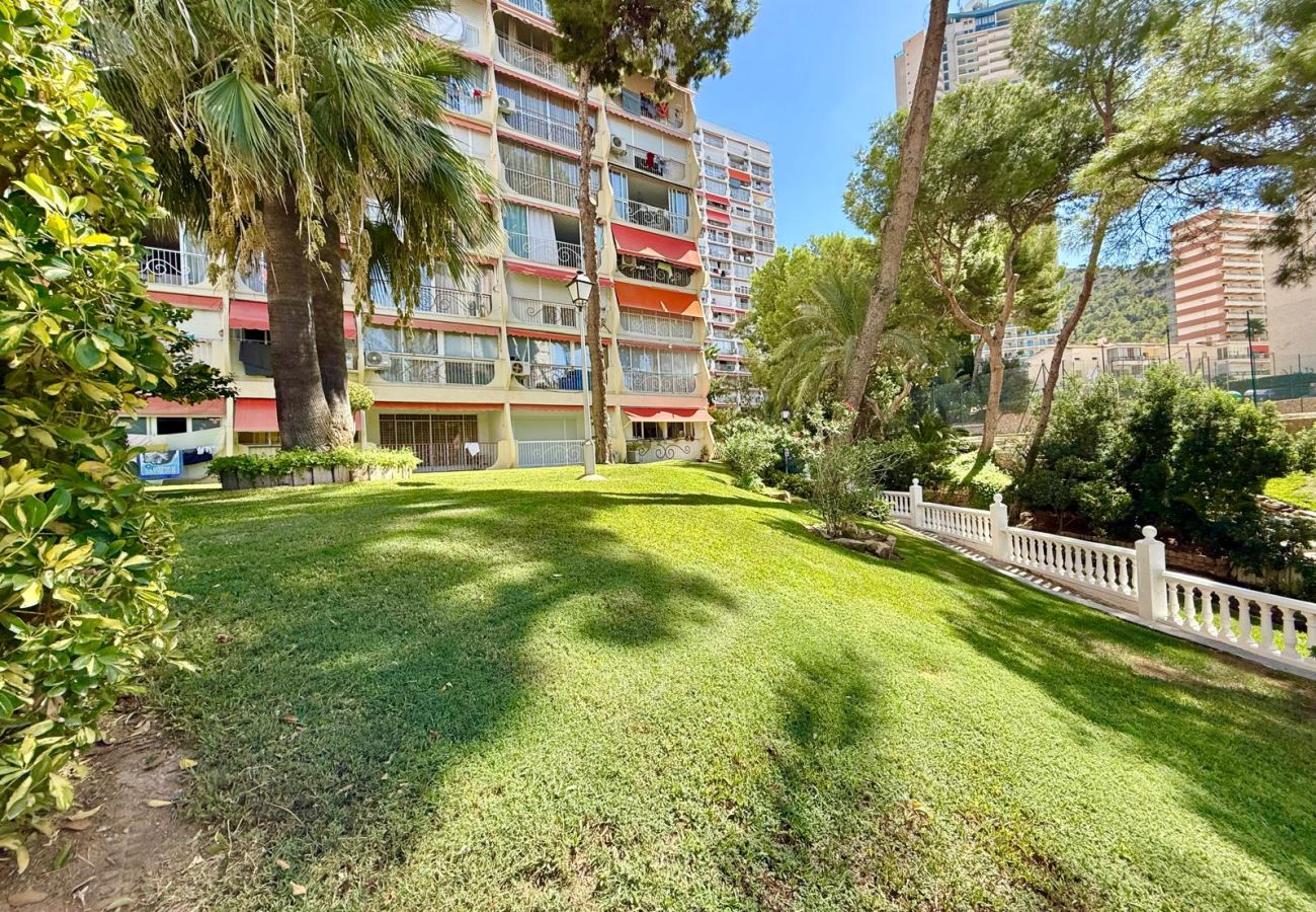Apartment in Benidorm - APARTMENT LOIX PARK R144