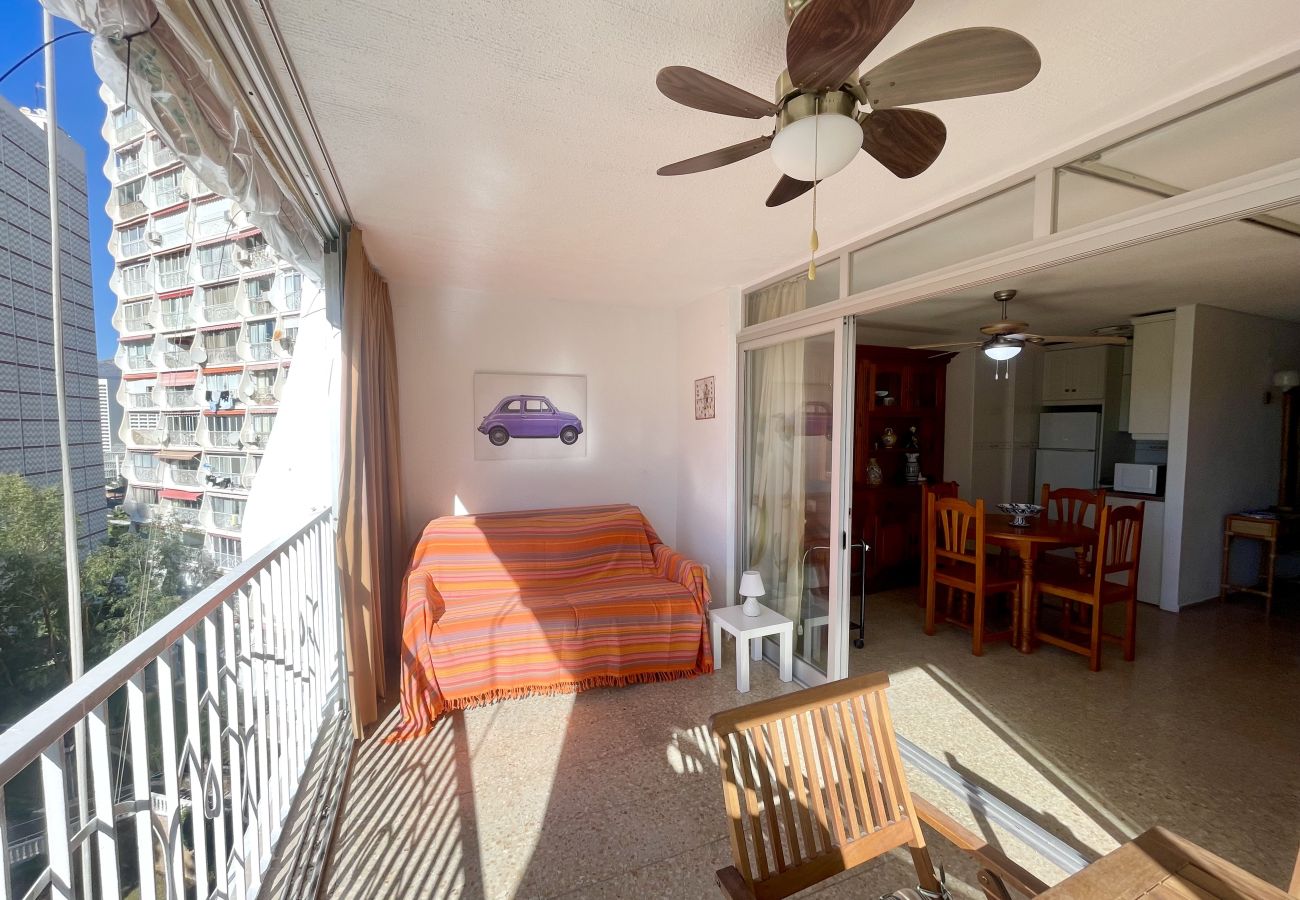 Apartment in Benidorm - APARTMENT LOIX PARK R144