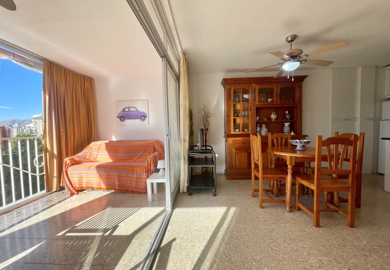 Apartment in Benidorm - APARTMENT LOIX PARK R144