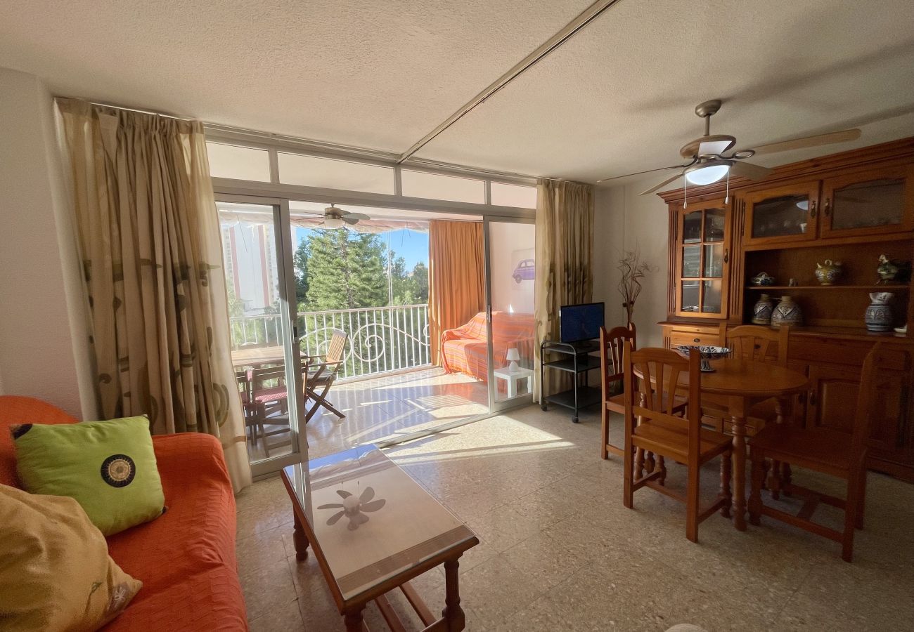 Apartment in Benidorm - APARTMENT LOIX PARK R144