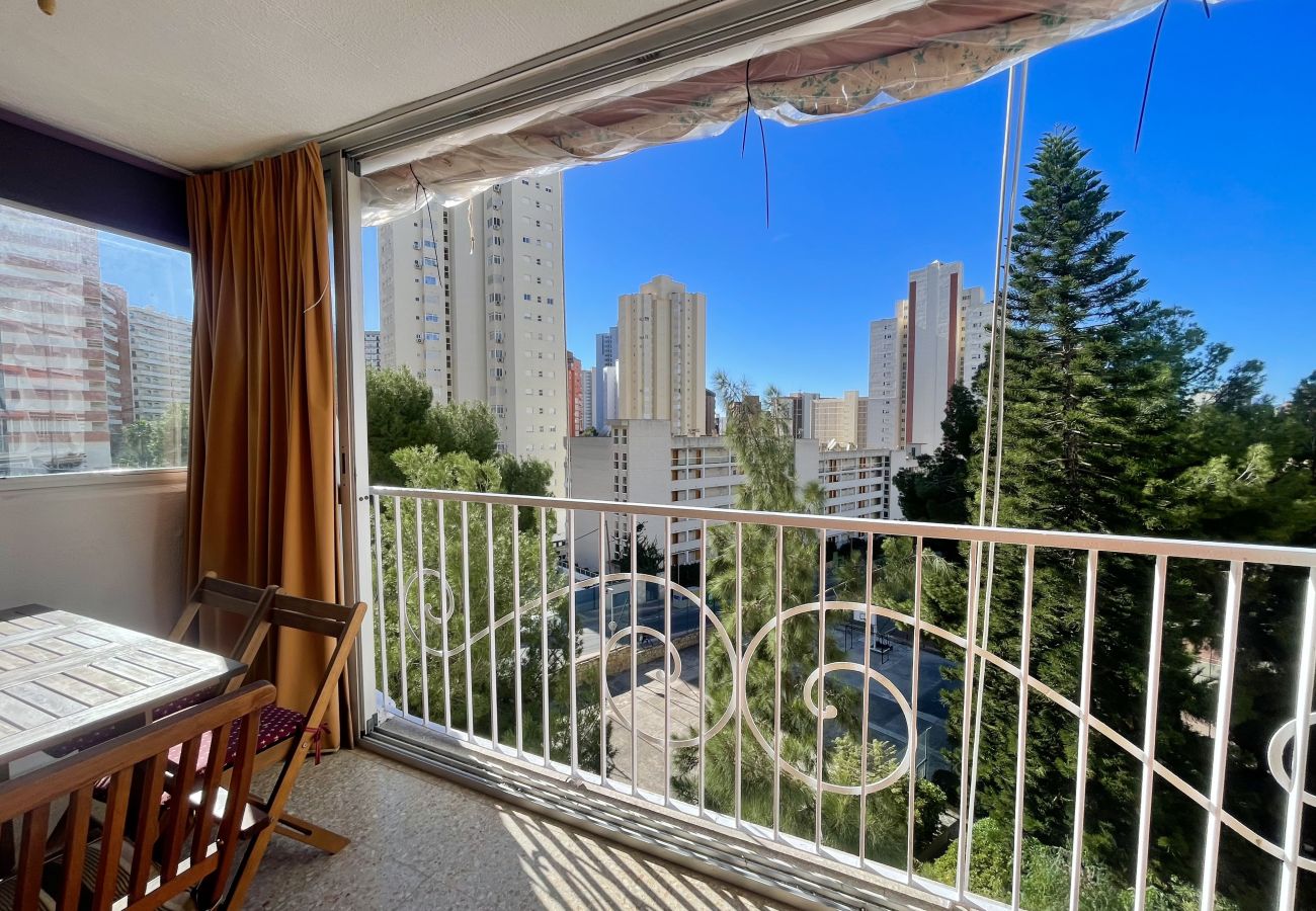 Apartment in Benidorm - APARTMENT LOIX PARK R144