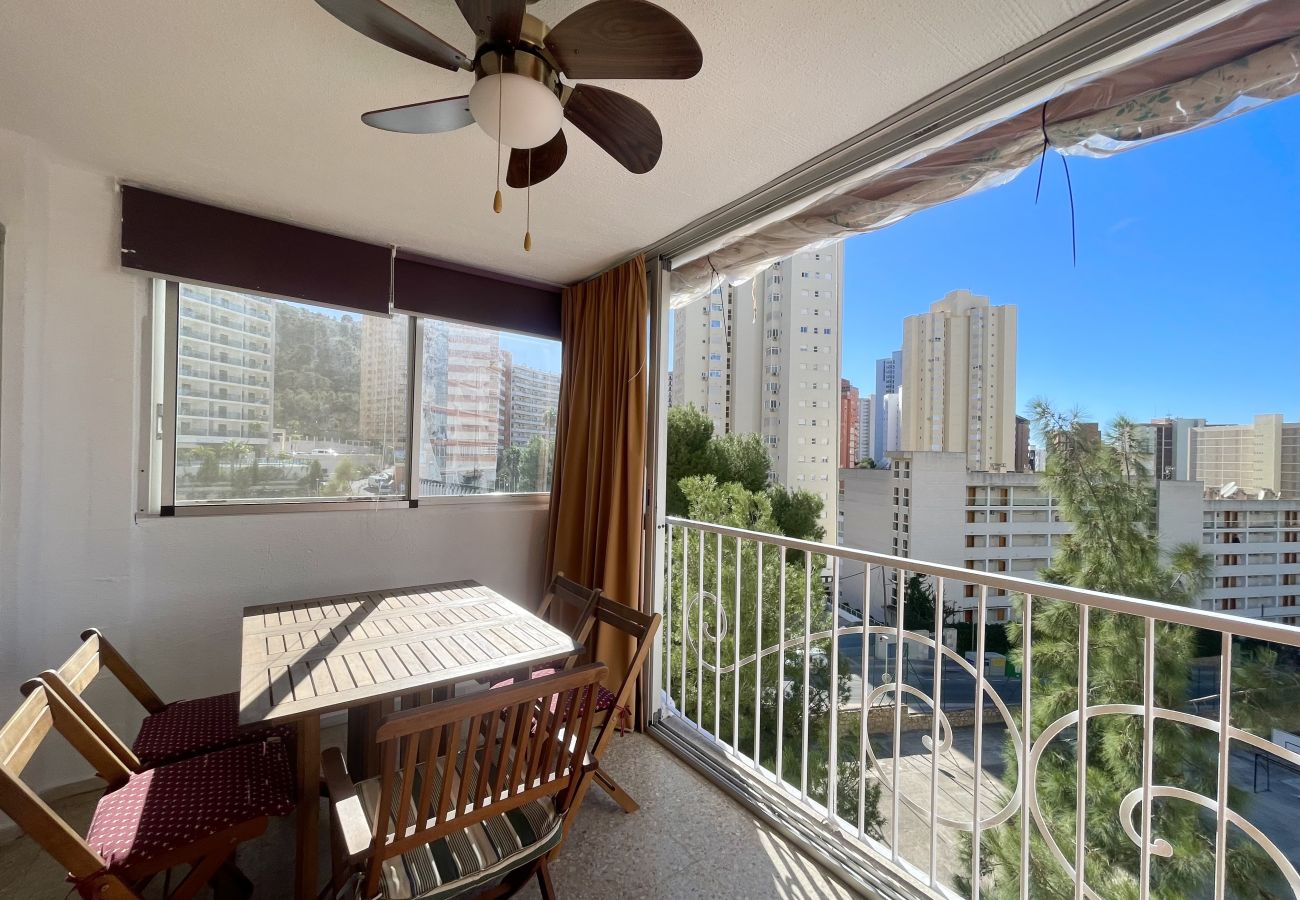 Apartment in Benidorm - APARTMENT LOIX PARK R144