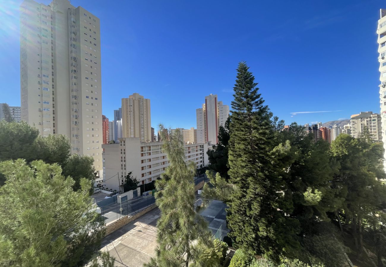 Apartment in Benidorm - APARTMENT LOIX PARK R144