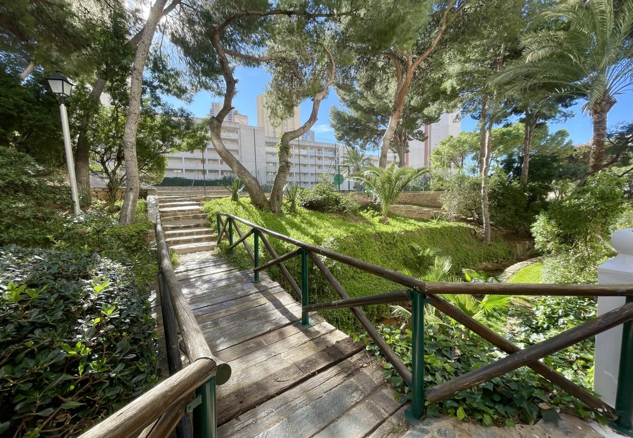 Apartment in Benidorm - APARTMENT LOIX PARK R144
