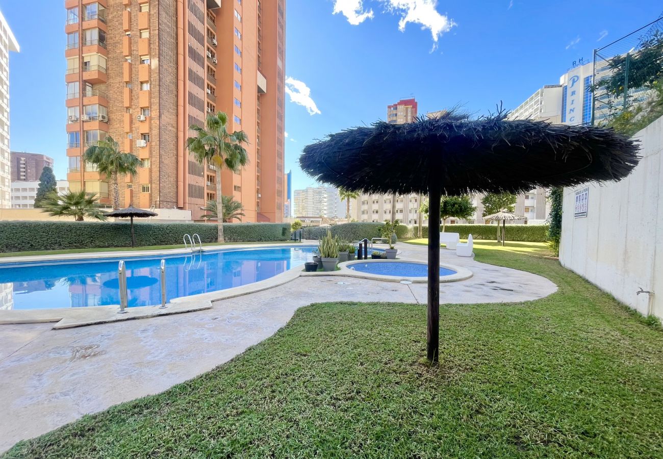 Apartment in Benidorm - MARINA LEVANTE SEDAVI R145