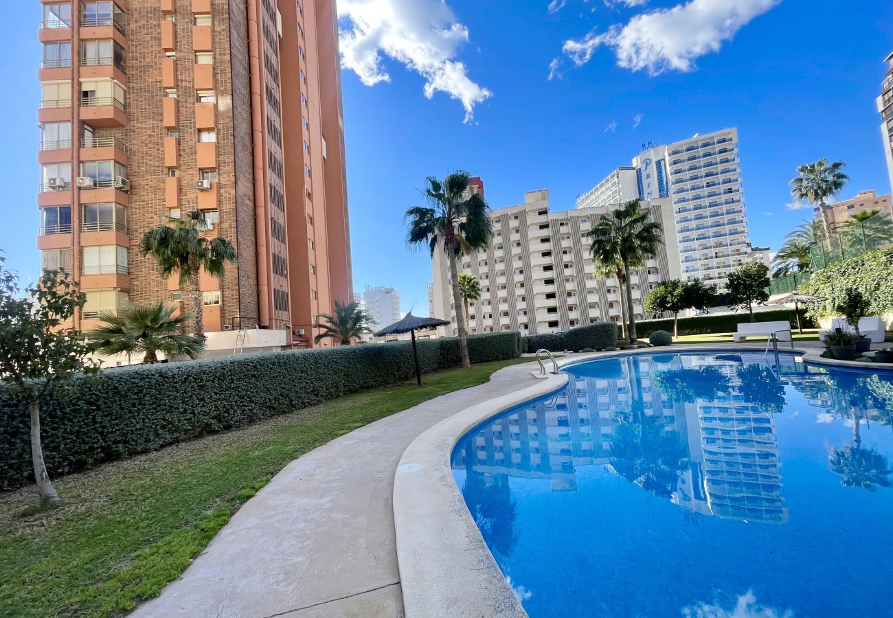 Apartment in Benidorm - MARINA LEVANTE SEDAVI R145