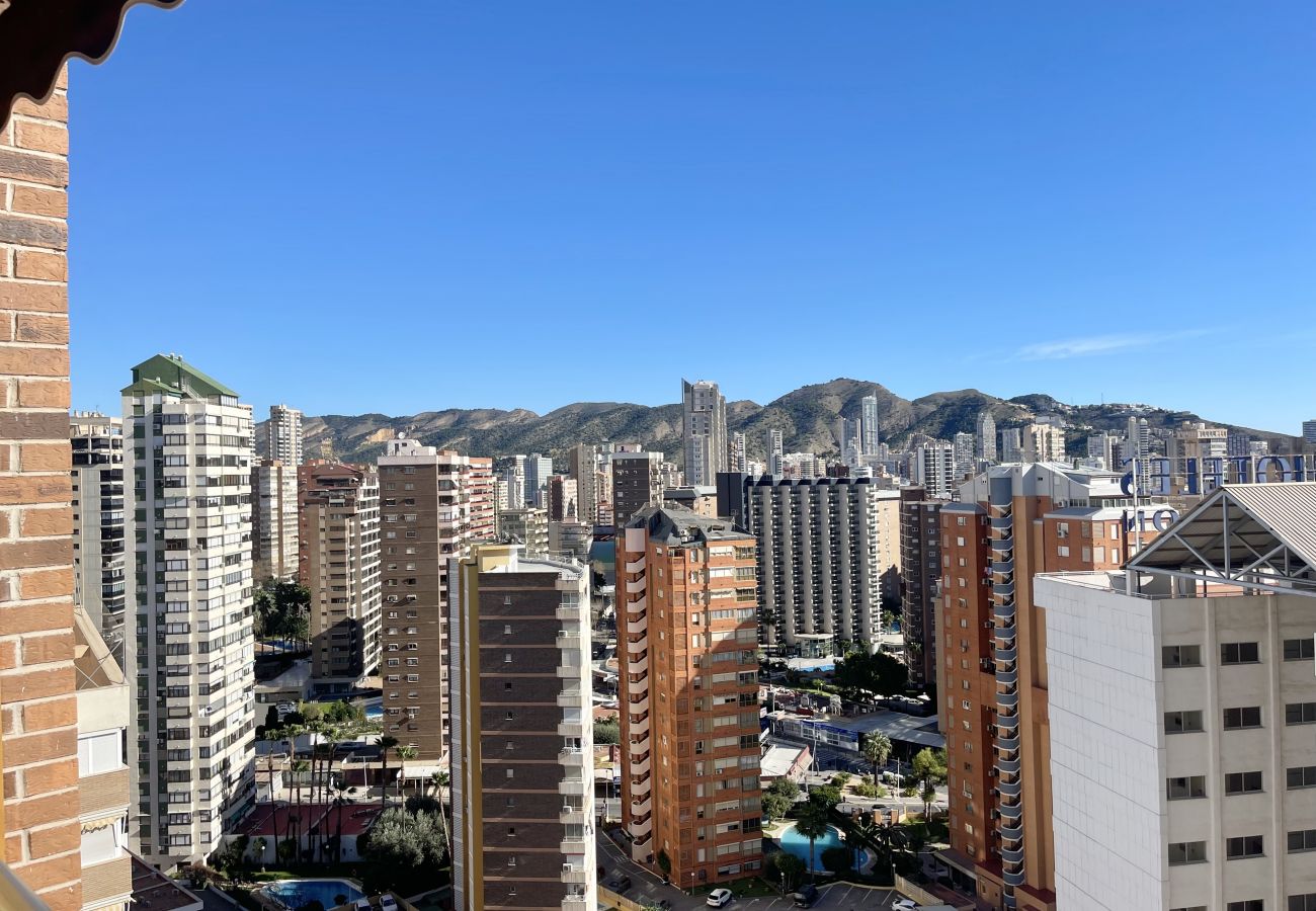 Apartment in Benidorm - MARINA LEVANTE SEDAVI R145