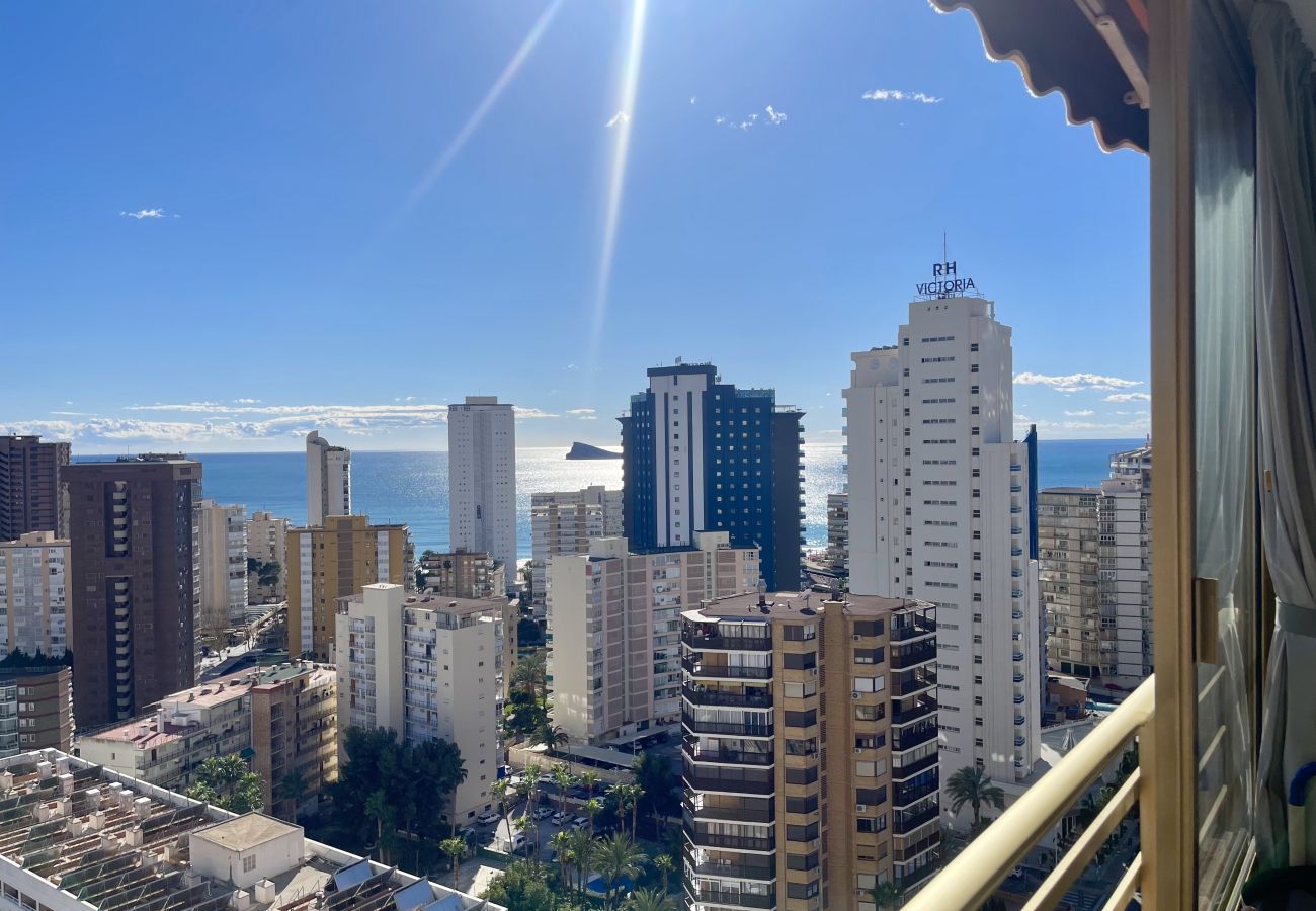 Apartment in Benidorm - MARINA LEVANTE SEDAVI R145