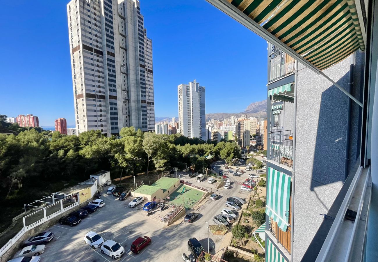 Apartment in Benidorm - ANTENA POOL CITY R148