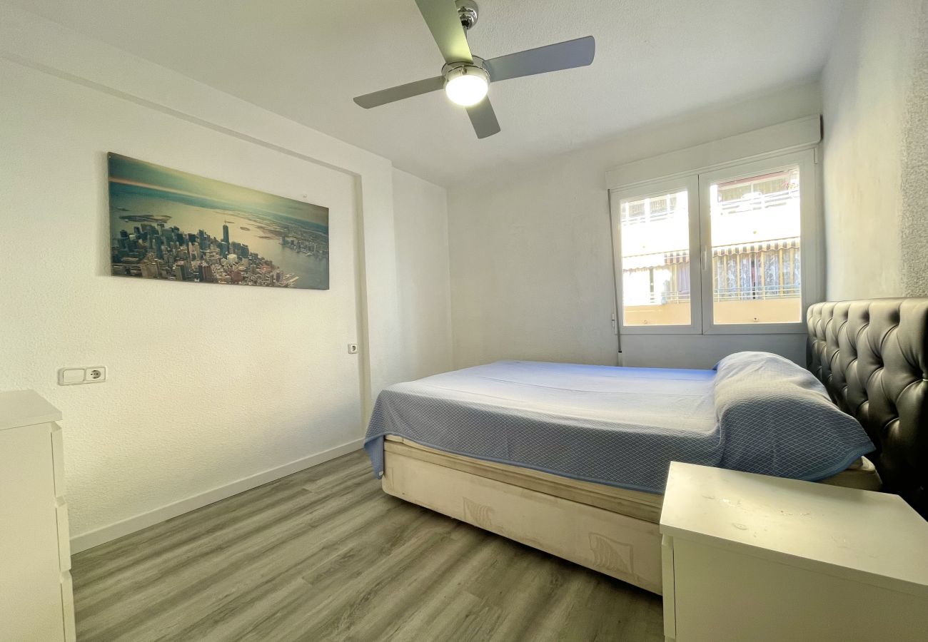 Apartment in Benidorm - NAVASA MODERN PONIENTE BEACH R153