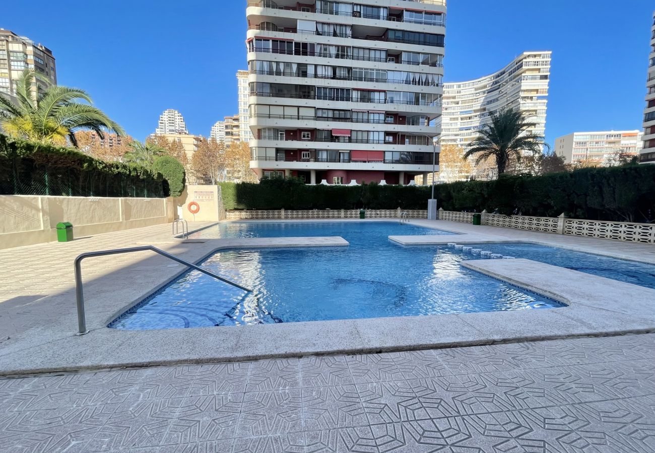 Apartment in Benidorm - SUN, SAND & LUXURY SEAFRONT APARTMENT VERACRUZ LEVANTE (R154)