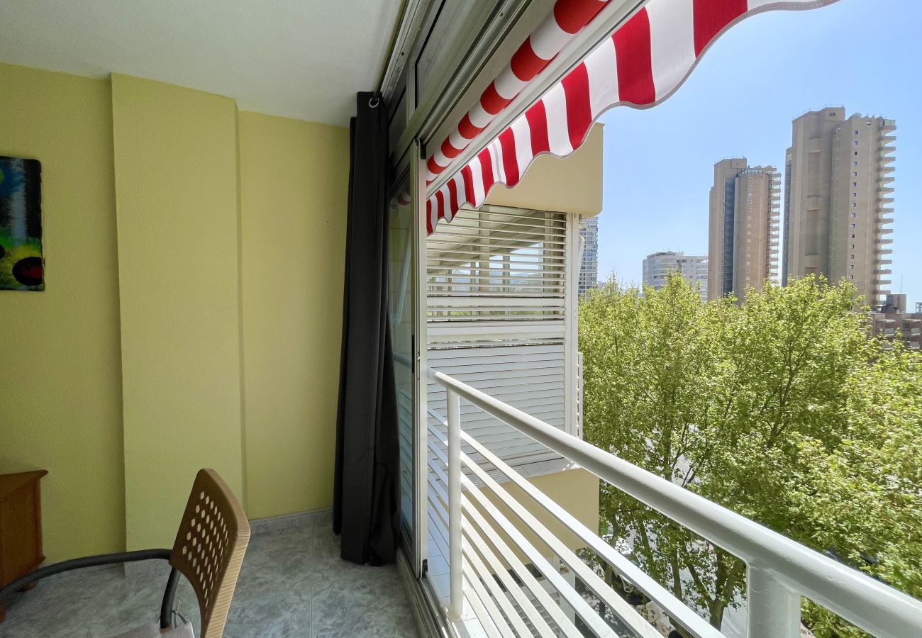 Apartment in Benidorm - LOS CABALLOS LEVANTE BEACH (R160)