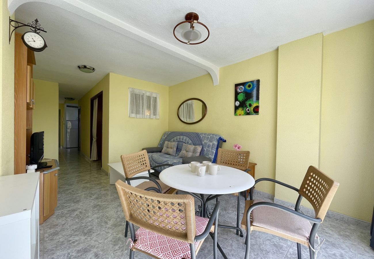 Apartment in Benidorm - LOS CABALLOS LEVANTE BEACH (R160)