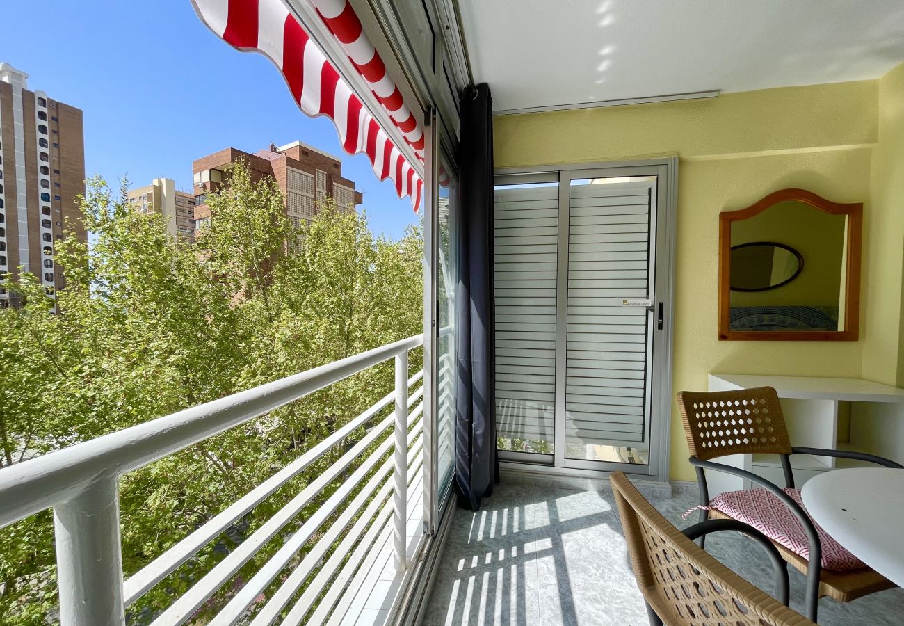 Apartment in Benidorm - LOS CABALLOS LEVANTE BEACH (R160)