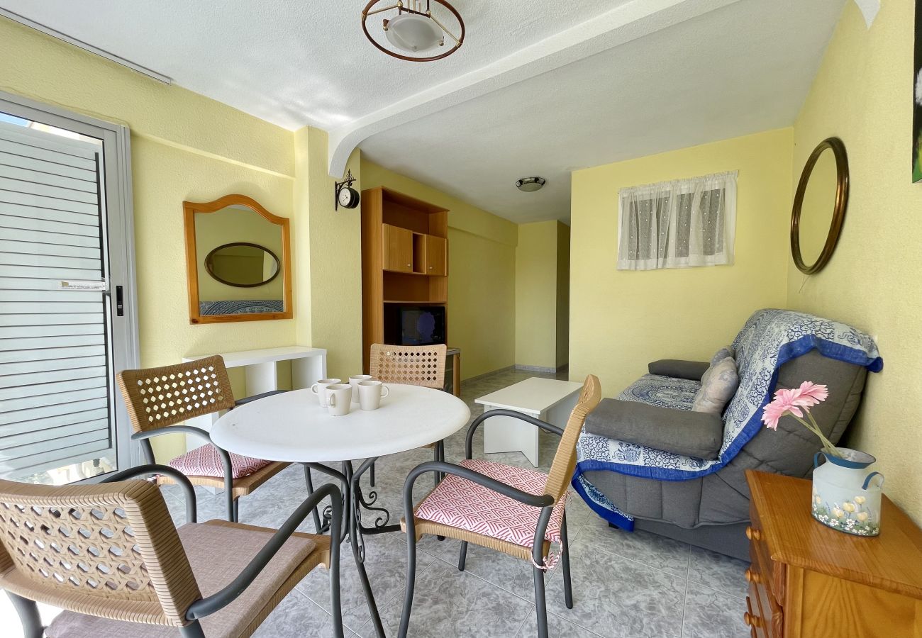 Apartment in Benidorm - LOS CABALLOS LEVANTE BEACH (R160)