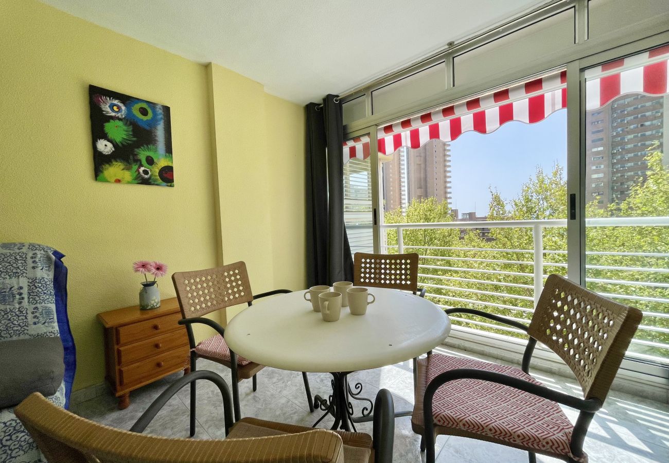 Apartment in Benidorm - LOS CABALLOS LEVANTE BEACH (R160)