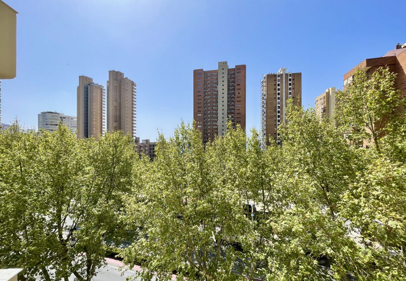 Apartment in Benidorm - LOS CABALLOS LEVANTE BEACH (R160)