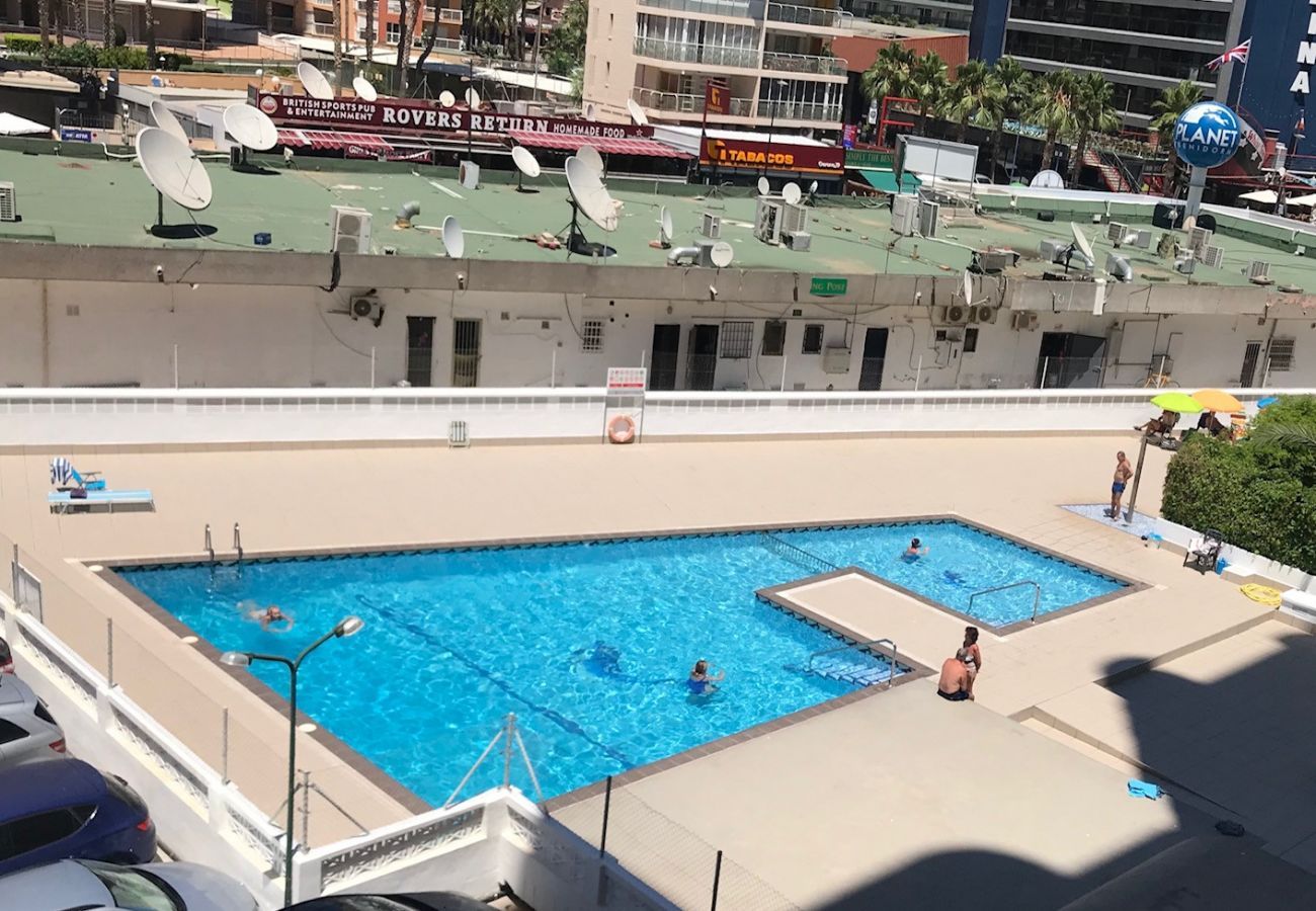 Apartment in Benidorm - LOS CABALLOS LEVANTE BEACH (R160)