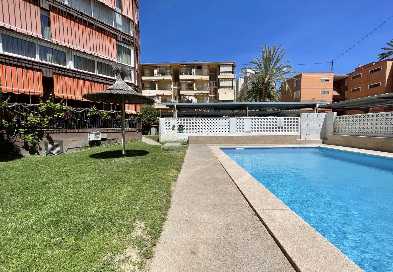 Apartment in Benidorm - Poniente Beach Modern Apartment (R164)