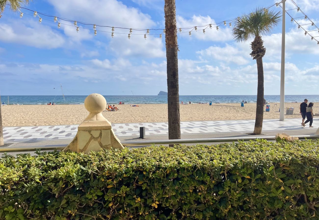 Apartment in Benidorm - El Pato Benidorm (R166)