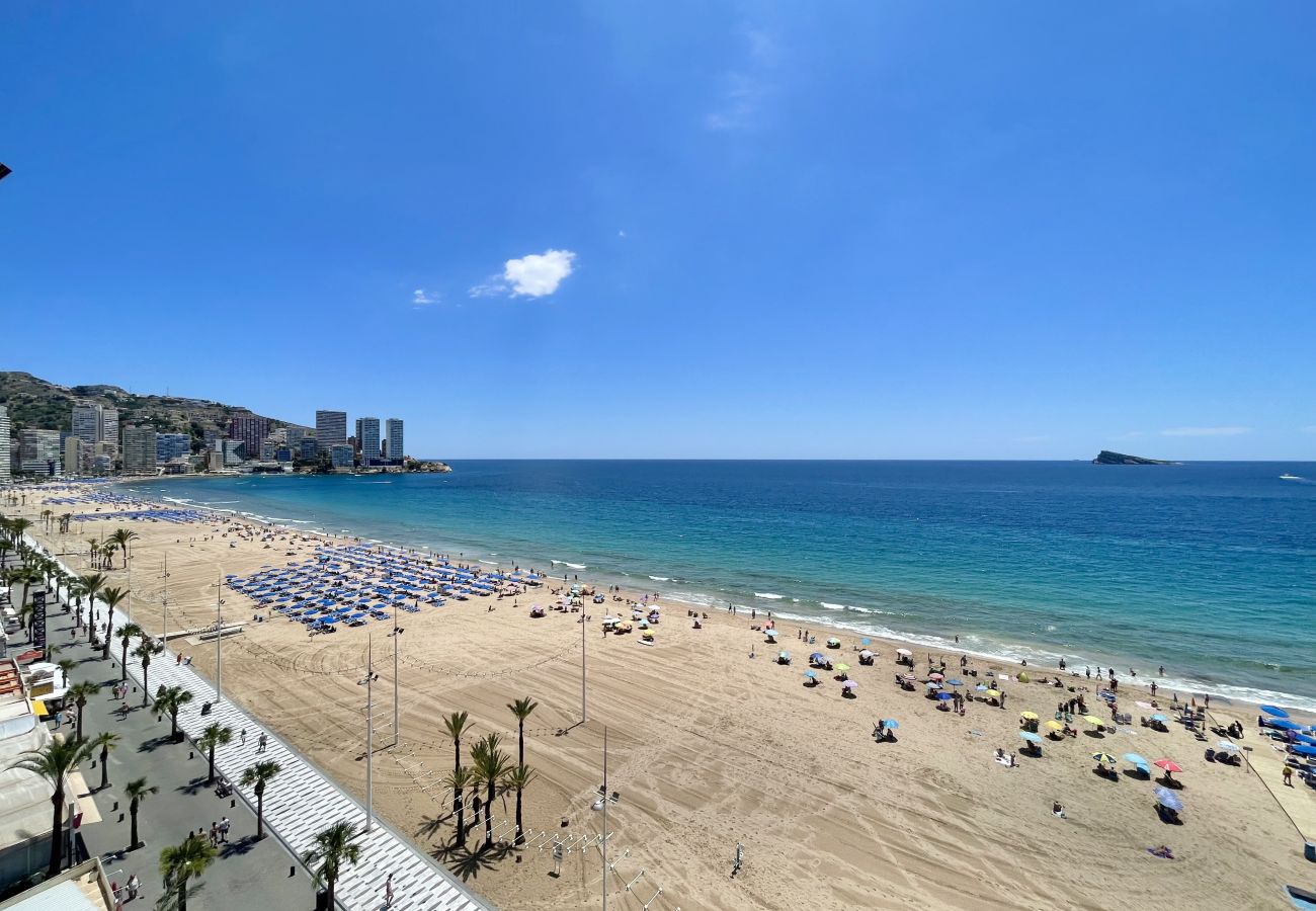 Apartment in Benidorm - TOR MARAYA SEAFRONT LEVANTE BEACH N017