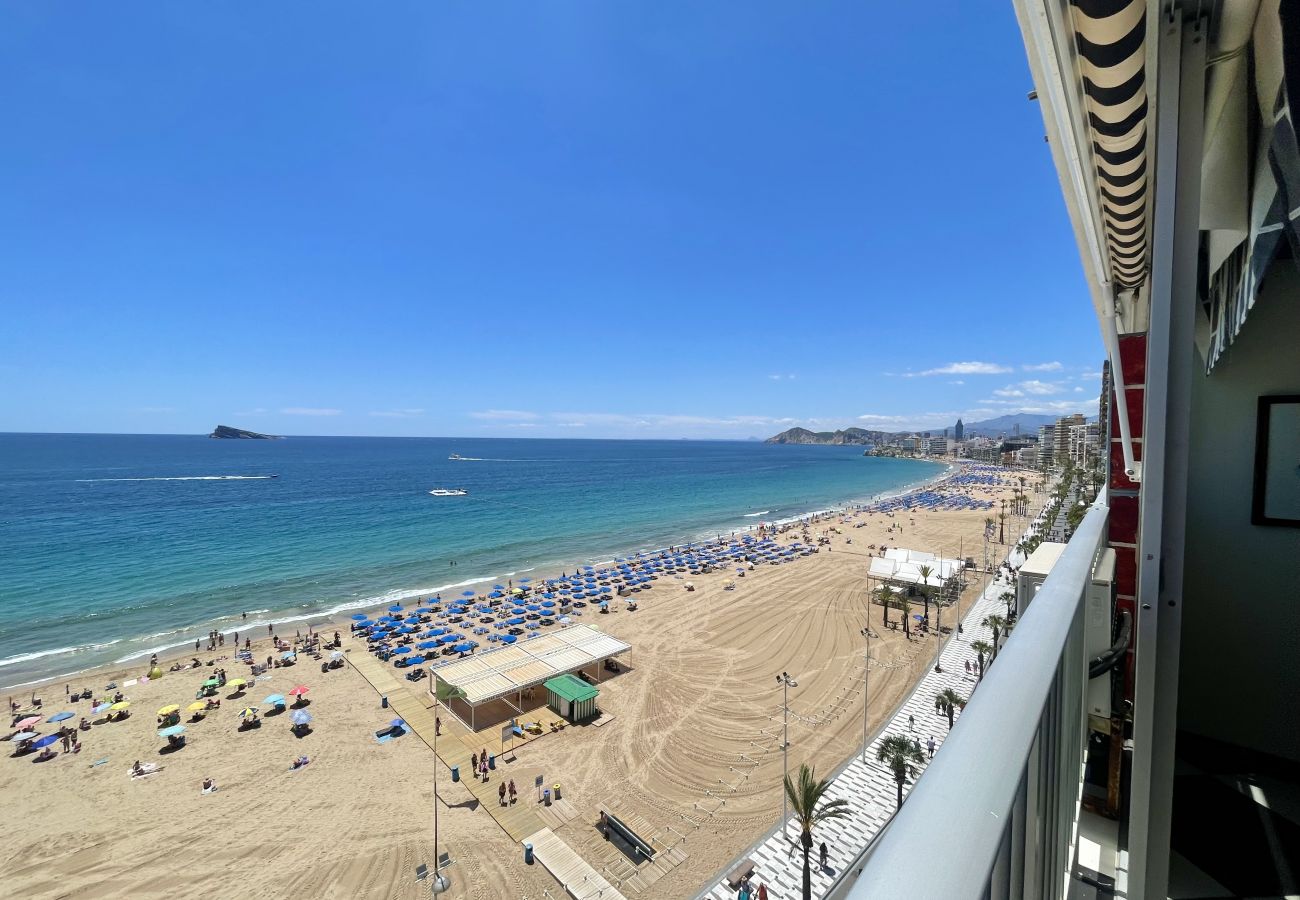 Apartment in Benidorm - TOR MARAYA SEAFRONT LEVANTE BEACH N017