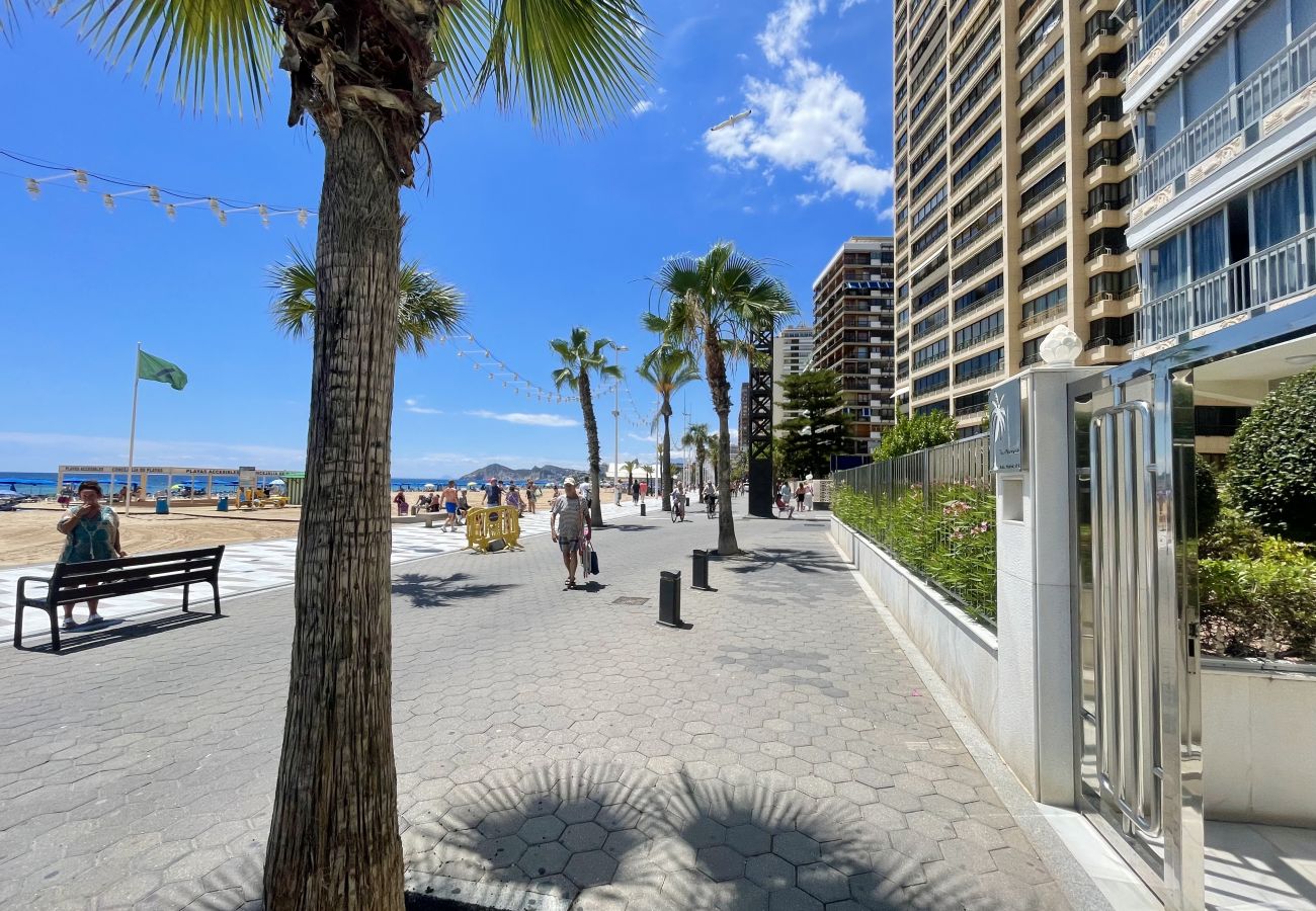 Apartment in Benidorm - TOR MARAYA SEAFRONT LEVANTE VIEWS N018