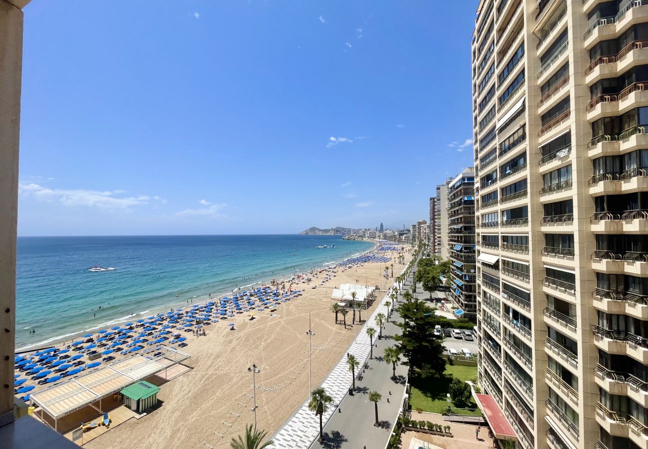 Apartment in Benidorm - TOR MARAYA SEAFRONT LEVANTE  N052