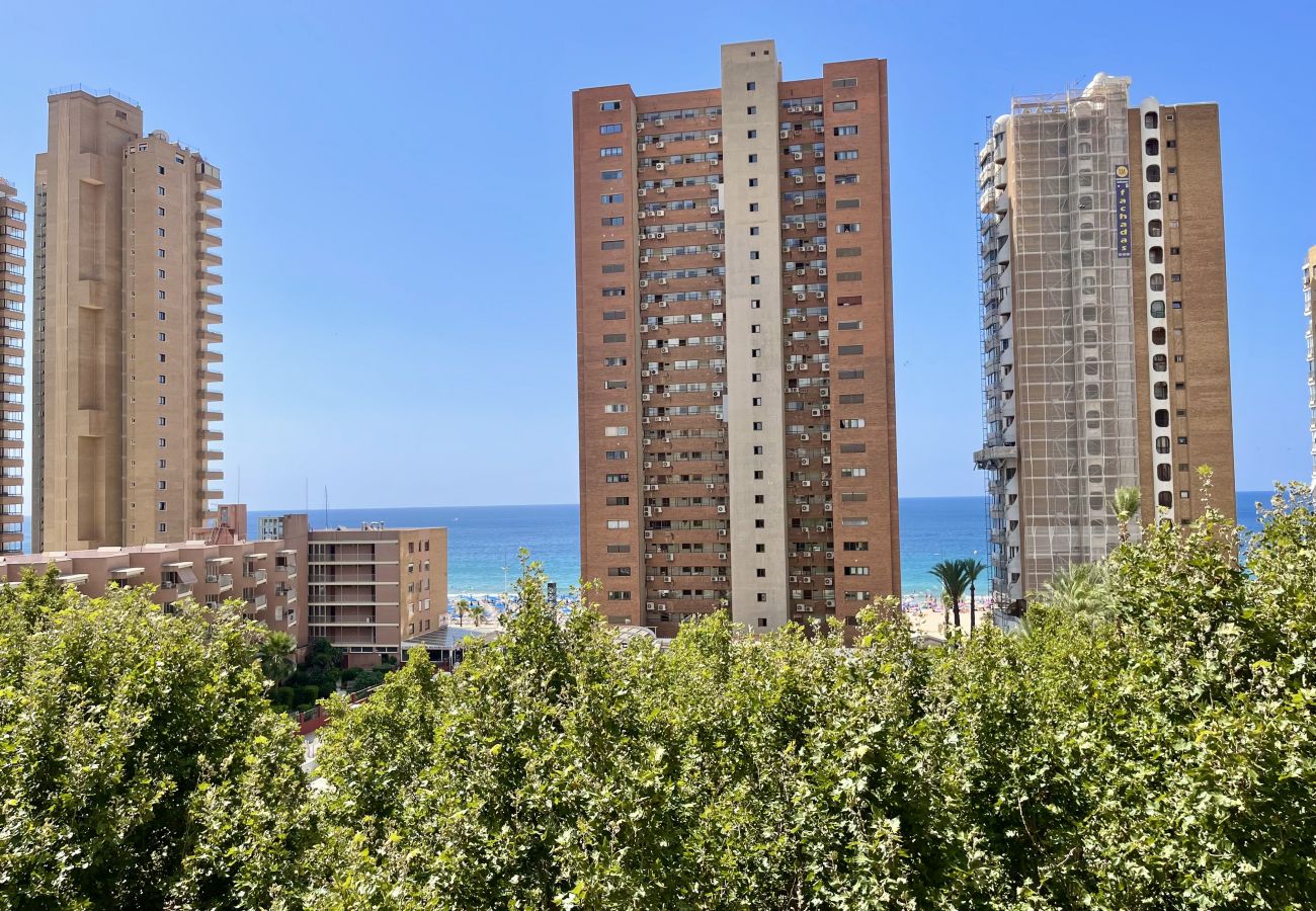 Apartment in Benidorm - LOS CABALLOS LEVANTE BEACH (N062)