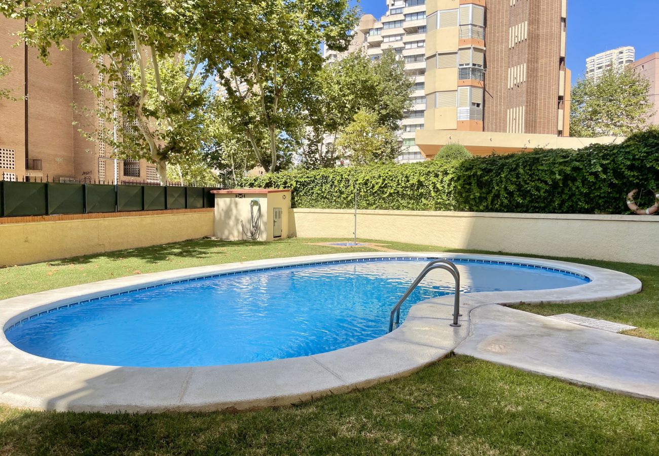 Apartment in Benidorm - MONVER LEVANTE BEACH N069