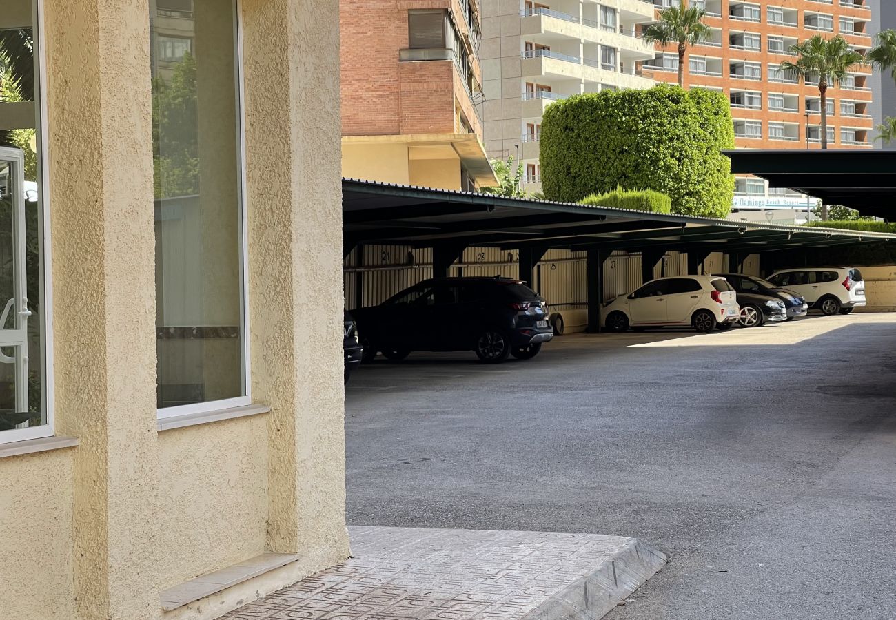 Apartment in Benidorm - MONVER LEVANTE BEACH N069