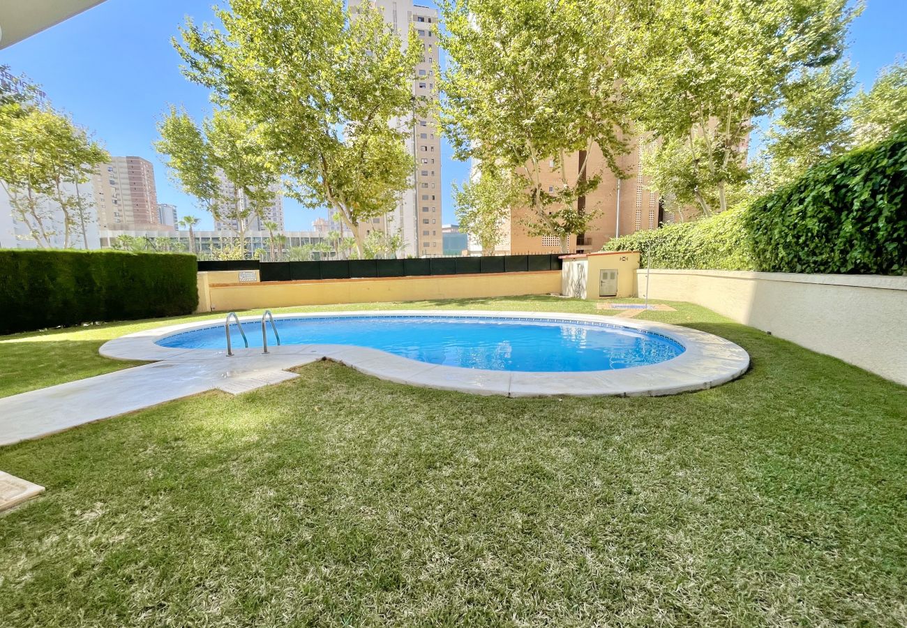 Apartment in Benidorm - MONVER LEVANTE BEACH N069