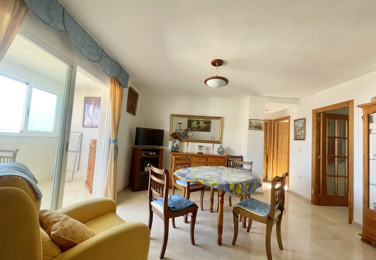 Apartment in Benidorm - VACANZA HOLIDAY RINCON N092