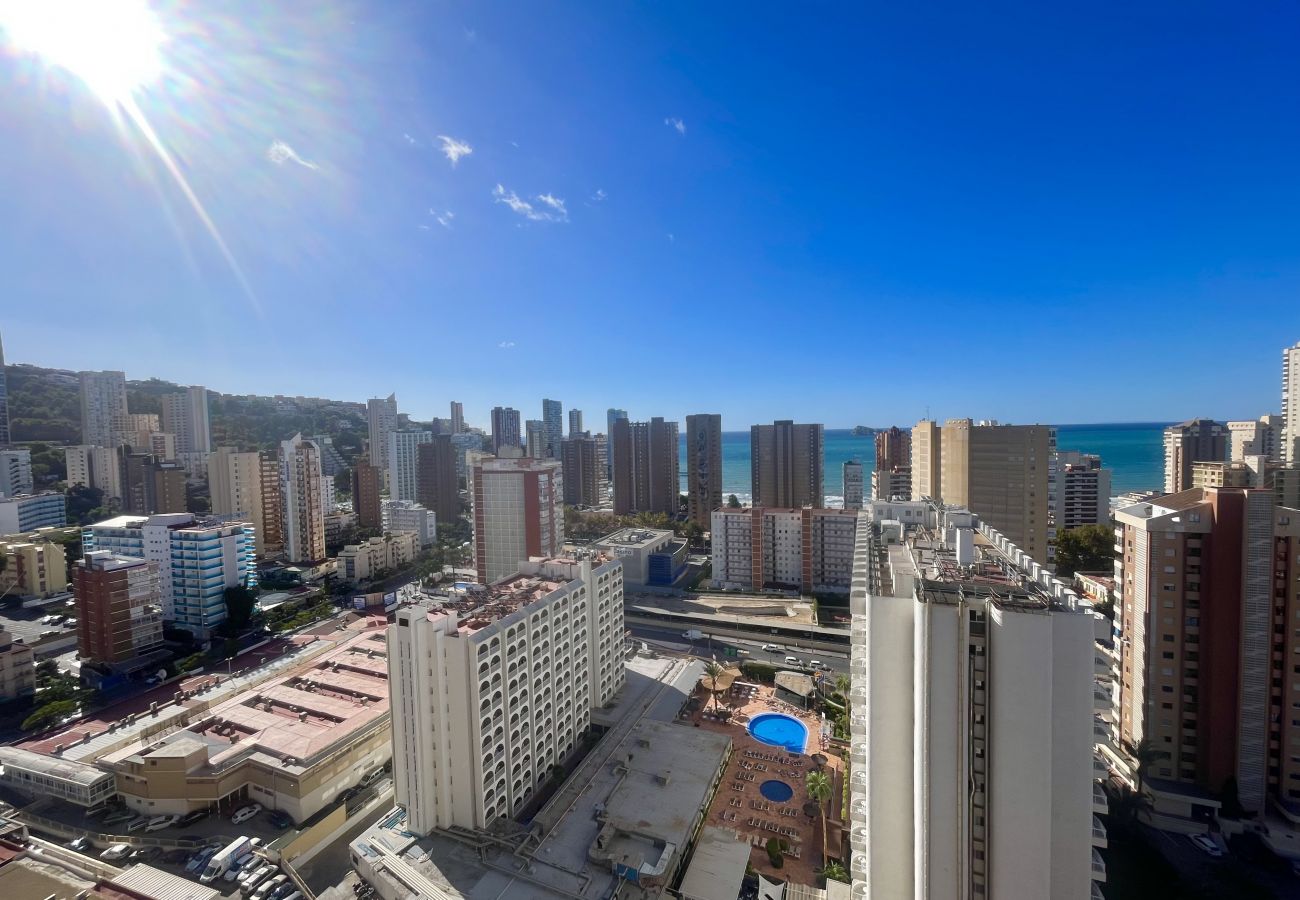 Apartment in Benidorm - ACUARIUM LEVANTE BEACH N075