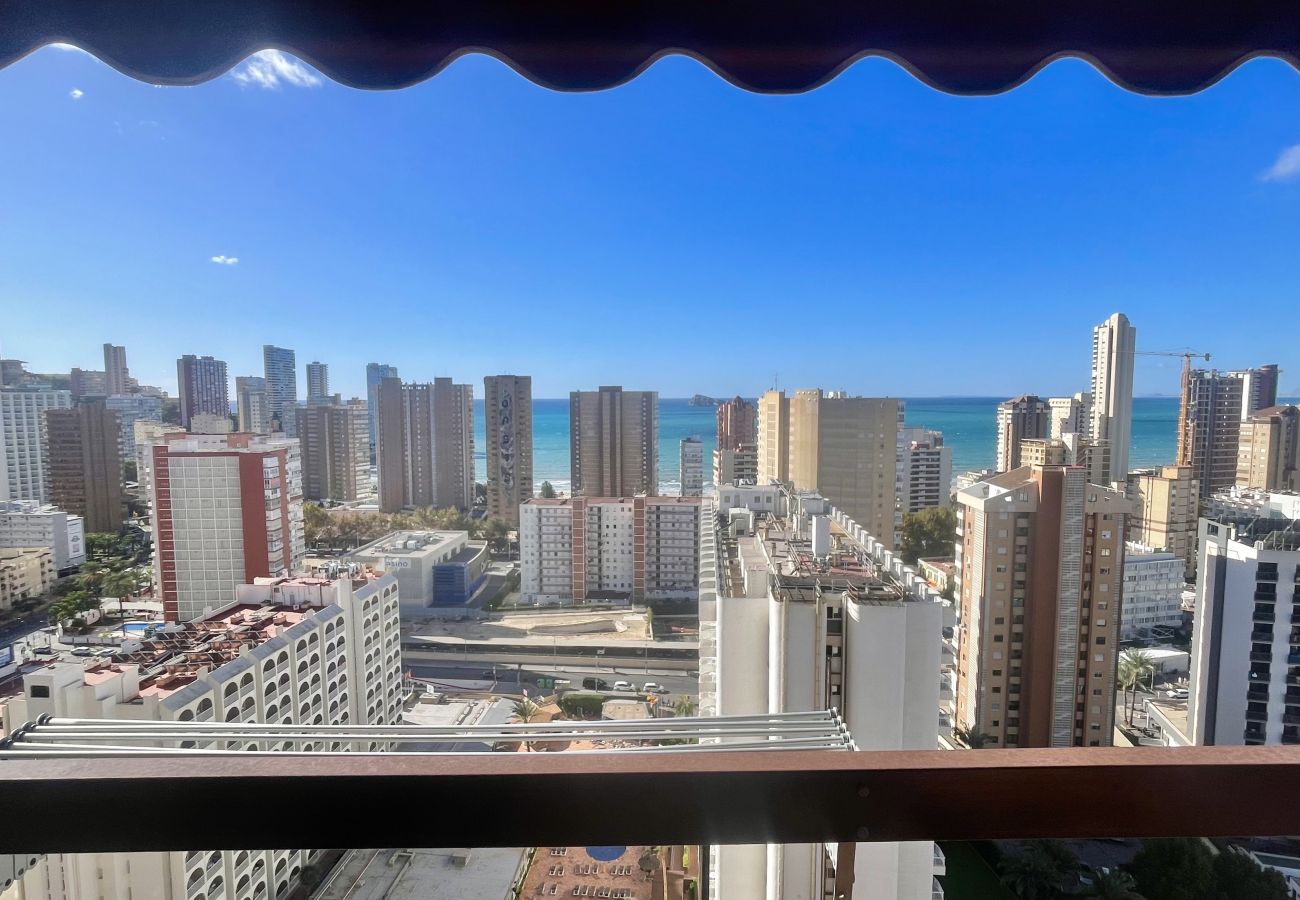 Apartment in Benidorm - ACUARIUM LEVANTE BEACH N075