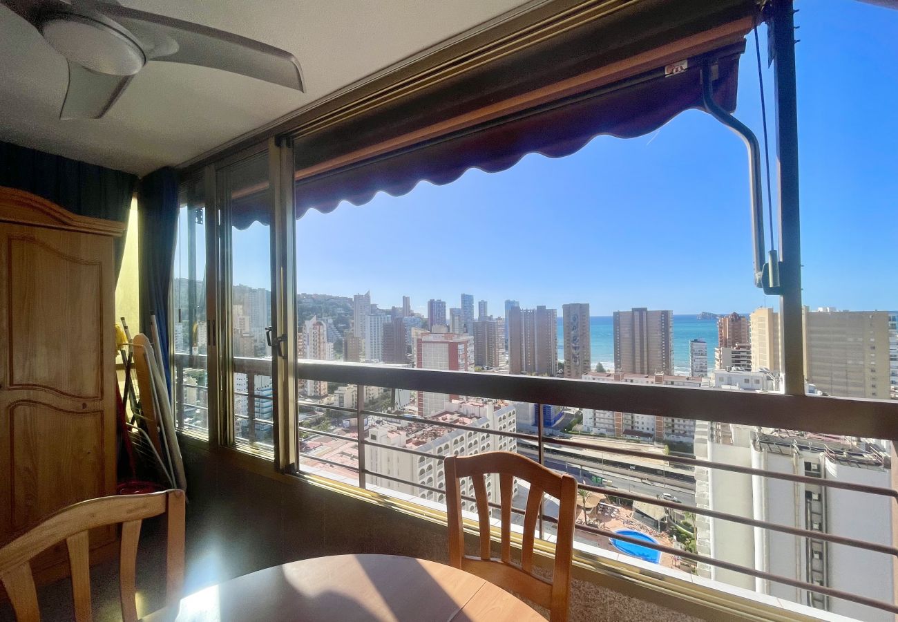 Apartment in Benidorm - ACUARIUM LEVANTE BEACH N075