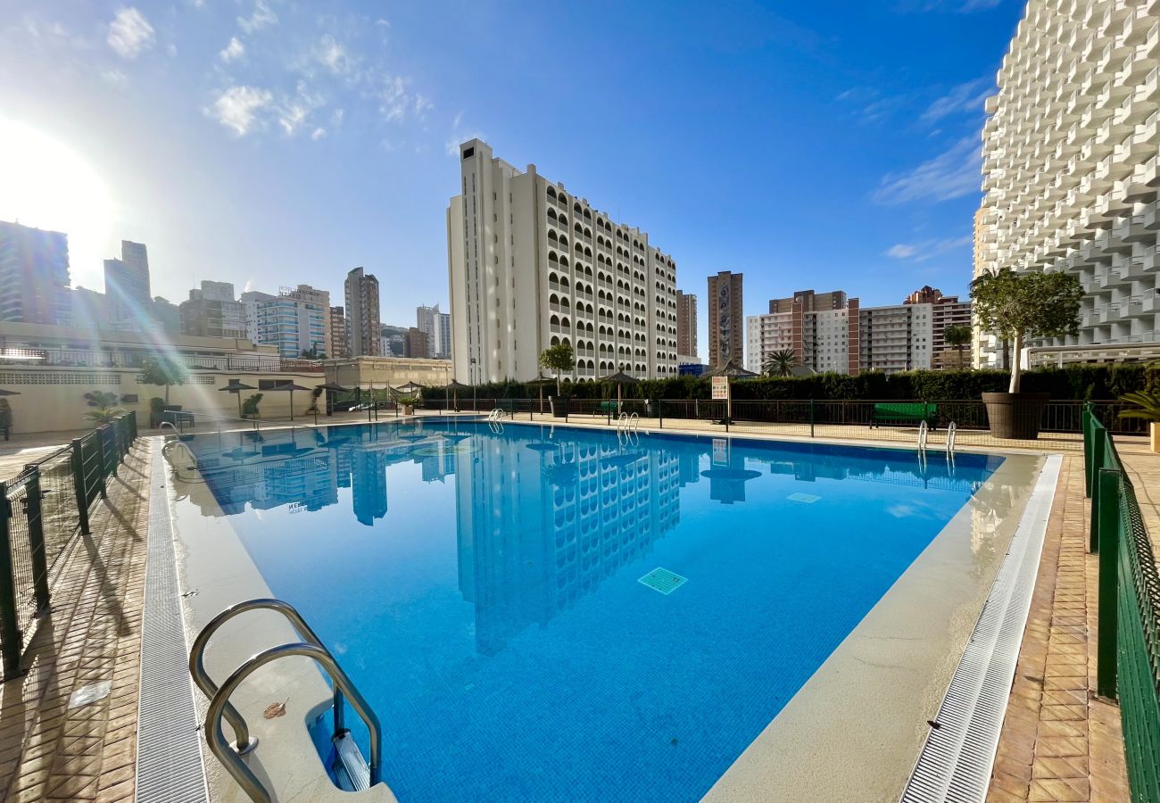 Apartment in Benidorm - ACUARIUM LEVANTE BEACH N075
