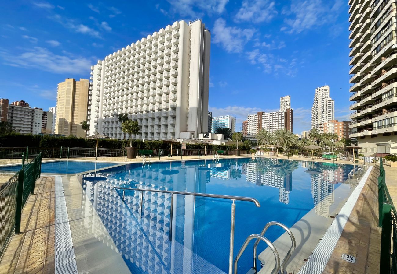 Apartment in Benidorm - ACUARIUM LEVANTE BEACH N075