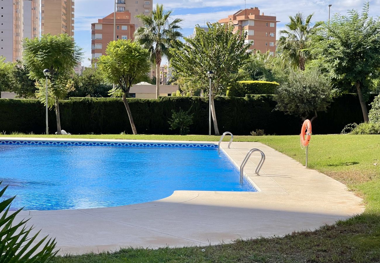 Apartment in Benidorm - KRONOS VIEW BENIDORM N110