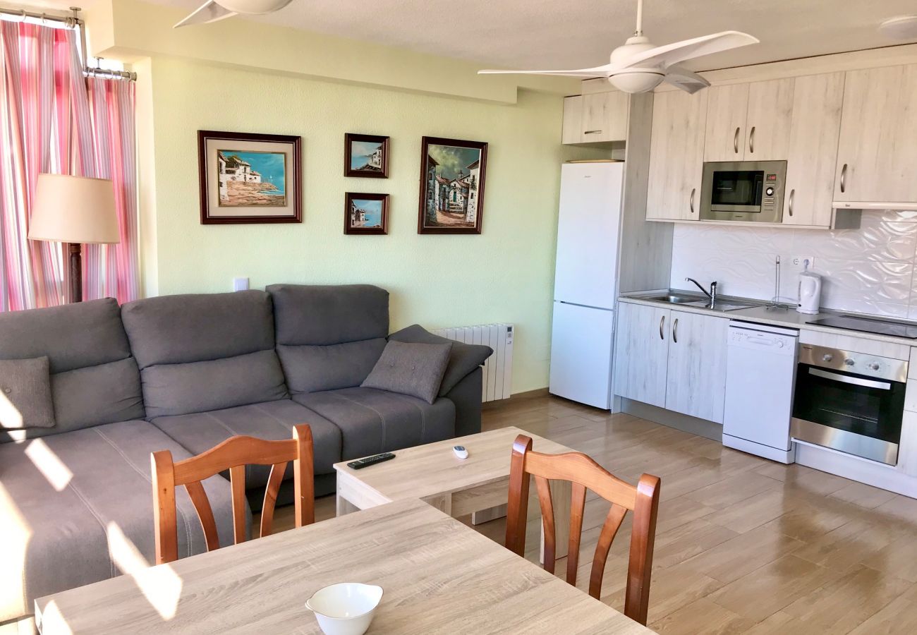 Apartment in Benidorm - ACACIAS CORNER VIEWS N111