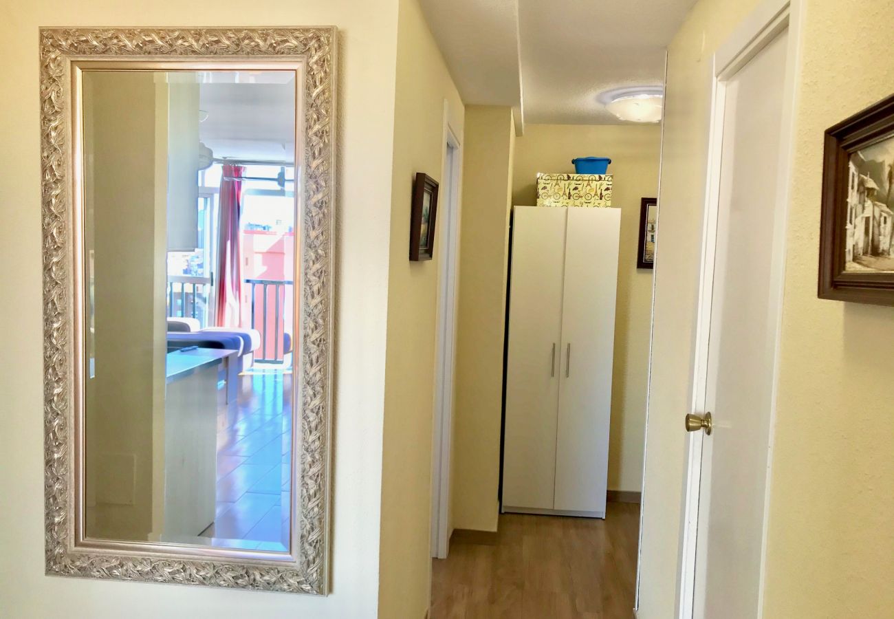 Apartment in Benidorm - ACACIAS CORNER VIEWS N111