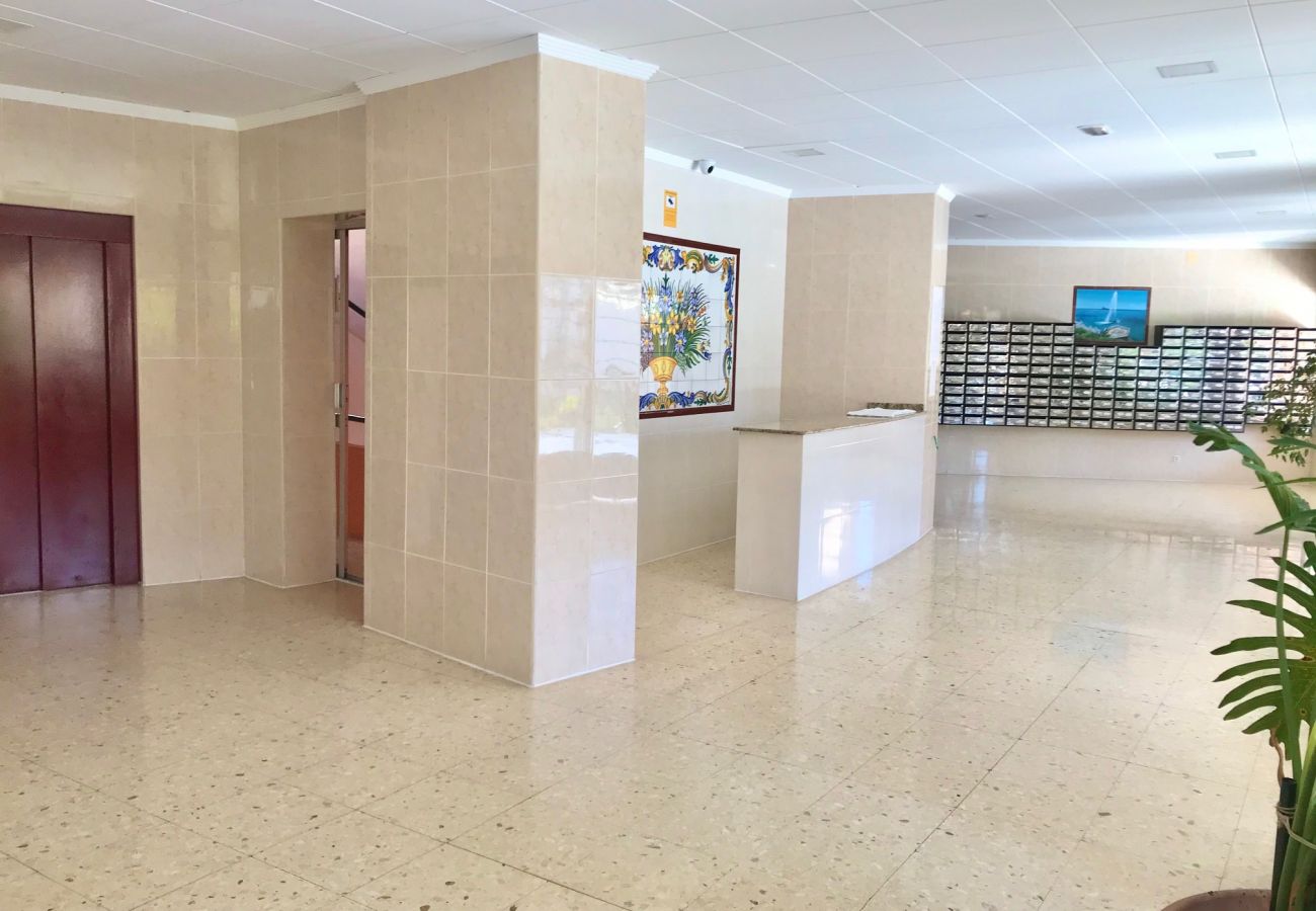 Apartment in Benidorm - ACACIAS CORNER VIEWS N111
